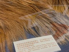 -张秉贵糖果专柜(北京市百货大楼店)