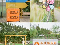 -前小桔亲子创意农场·草莓采摘·露营烧烤