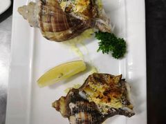 法式海螺-VITELLO意大利料理(崂山路店)
