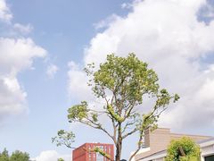 -上海财经大学(国定路校区)