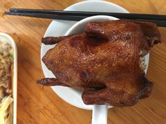 -石岐乳鸽村(桥观坊南四巷店)
