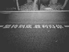 -南宁南湖公园