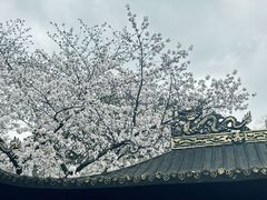 -苏州上方山国家森林公园