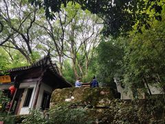 -严子陵钓台(富春江小三峡)