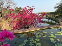 -广州莲花山旅游区