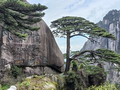 -黄山风景区