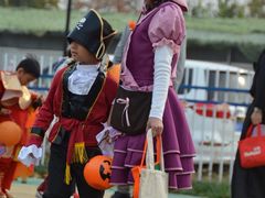 -乐融国际幼儿园(四季青校区)