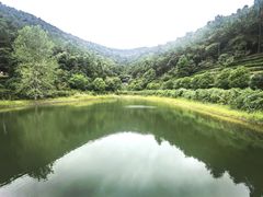 -九龙潭景区