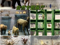 -四川大学博物馆