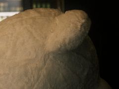 -shark burger·鲨鱼汉堡(交子大道店)