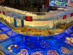 -小螺号海鲜·地道鲁菜(泉城广场店)