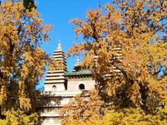 -北京石刻艺术博物馆(五塔寺)
