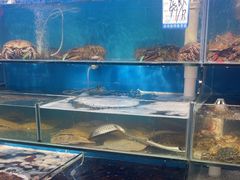 -仙螺岛海鲜自助餐厅(总店)