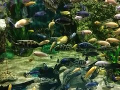 -石家庄极地海洋世界
