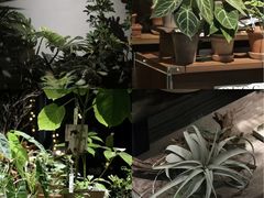 -瑞虹新天地月亮湾