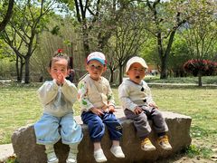 -大罗山风景区