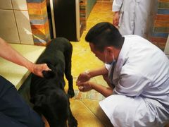 -北京佳信宠物医院