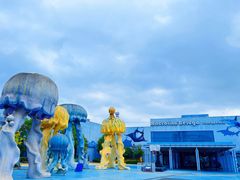 -芜湖新华联大白鲸海洋公园