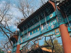 -北京国子监胡同