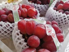 -马陆小张葡萄园农家乐