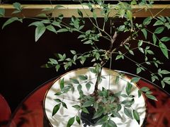 -上海精菜馆(虎踞关店)