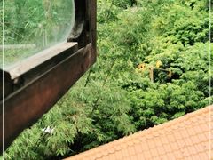 -鲤鱼塘农家山庄