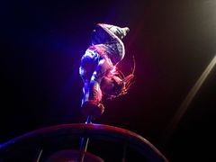 -水秀国际大剧院