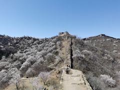 -蟠龙山长城景区