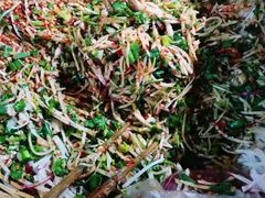 -半月镰胡姐脆皮萝卜饺子