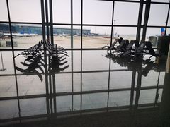 -广州白云国际机场-T2航站楼