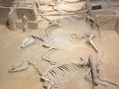 -洛阳周王城天子驾六博物馆