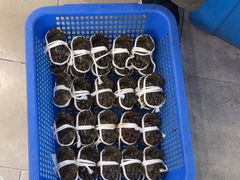 -品鲜村农家菜·阳澄湖大闸蟹(总店)