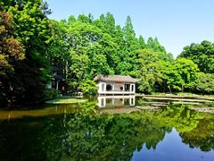 -杭州植物园