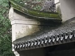 -柔石故居