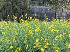 -神光山国家森林公园