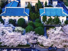 -武汉大学-樱园