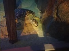 -暹罗海洋世界