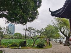 -无锡蠡湖国家湿地公园-蠡园