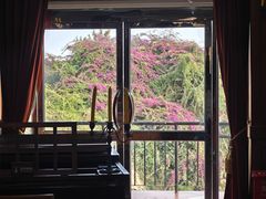 -鼓浪屿钢琴博物馆