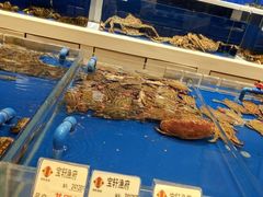 水产区-宝轩渔府·老字号海鲜·正宗津菜(水上店)