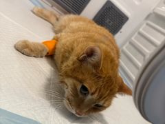 -爱派特动物医院·全科诊疗中心