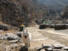 -孤山寨风景区