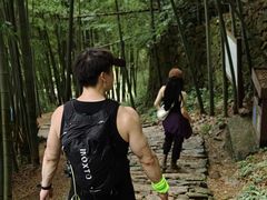 -莫干山风景区