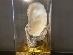 -土蚝·高压锅生蚝(百姓美食街店)