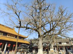 -溪口-滕头旅游景区