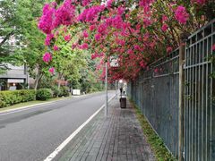 -东莞植物园