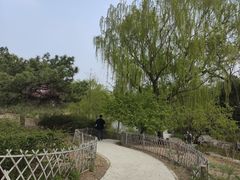 -北京西山国家森林公园