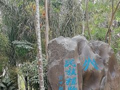 -中国科学院西双版纳热带植物园