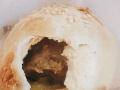 -百年夯碳烤胡椒饼(阿拉城店)