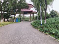 -青龙湖公园